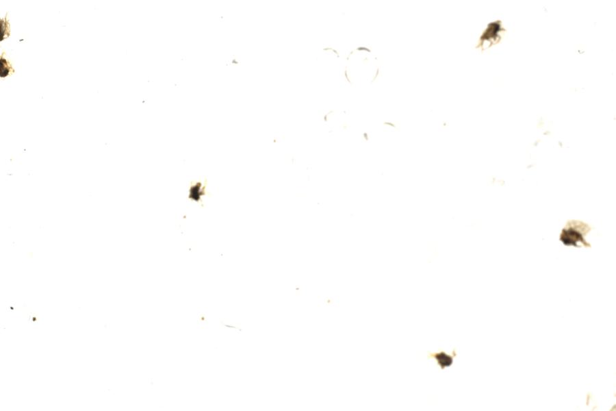 Image 112